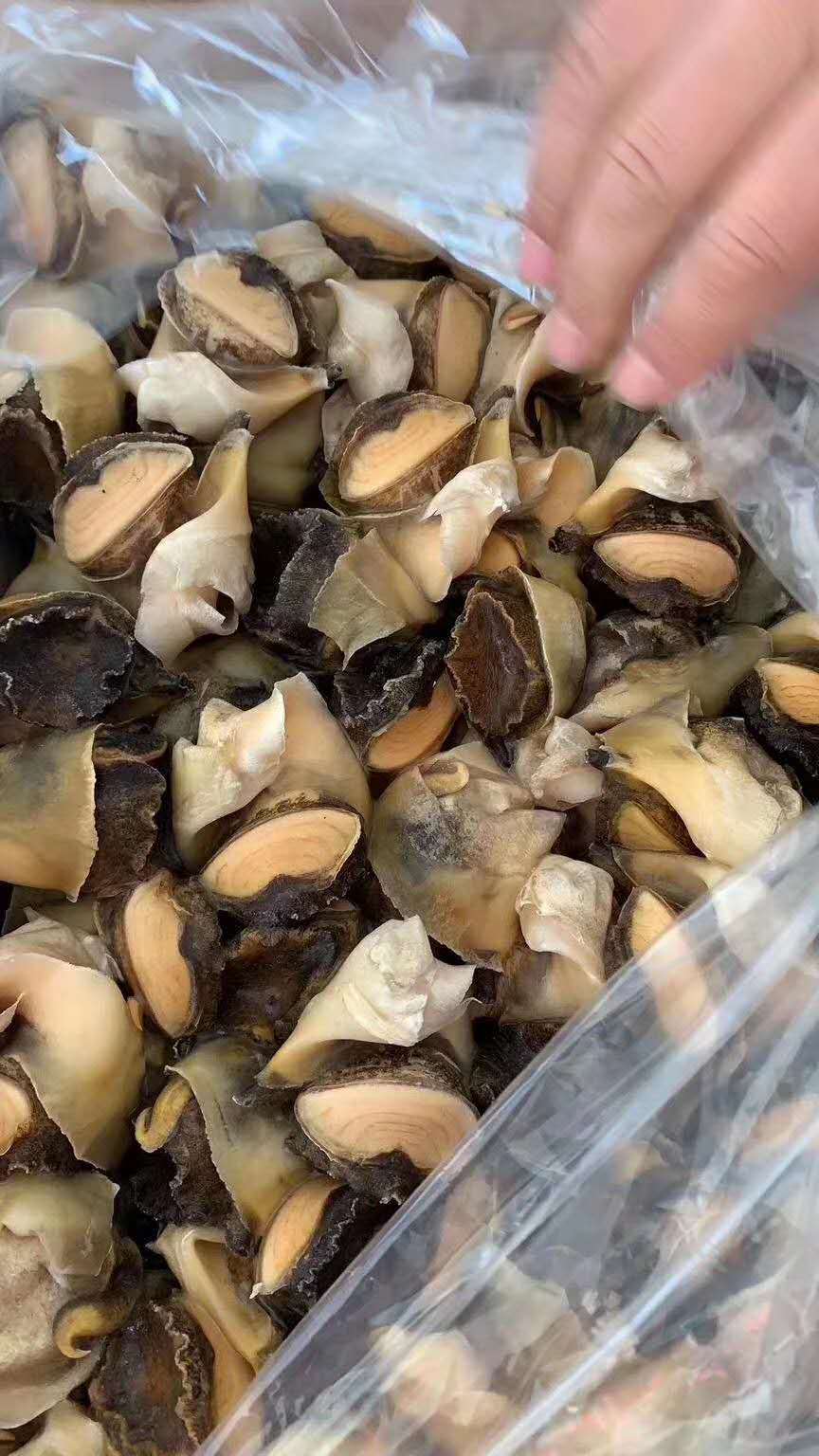 海螺肉原料去殼海螺肉螺絲炒泥螺去殼肉冷凍水產(chǎn)工廠批發(fā)