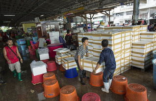 泰國(guó)海產(chǎn)加工廠雇黑工 每天工作16個(gè)小時(shí)