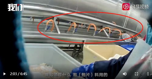 白色粉末 泡出黃金鮑,海鮮加工廠違規(guī)使用化學(xué)添加劑