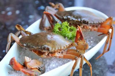 198元龍蝦海鮮拼盤(pán)免費(fèi)送！品味鮮香，暢享海鮮火鍋盛宴