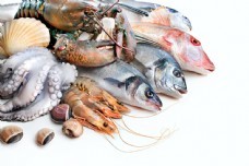 海鮮圖庫(kù)新寵 聚焦尤魚素材，一站式滿足你的設(shè)計(jì)與靈感需求