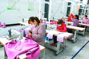 丹陽聯(lián)村黨委實(shí)踐 圍繞主導(dǎo)產(chǎn)業(yè)發(fā)展集體經(jīng)濟(jì)，提升農(nóng)副產(chǎn)品競爭力