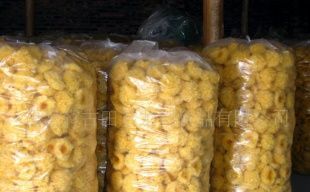 產地直銷，品質無憂 古田銀耳（白木耳）的農副產品魅力